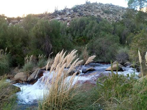 Fotografía 5 de Camping El Dorado en Paihuano, Coquimbo