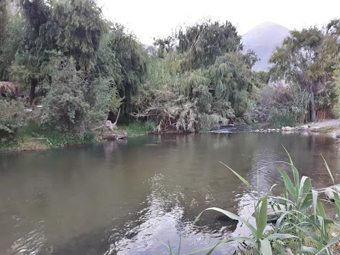 Fotografía 10 de Camping El Dorado en Paihuano, Coquimbo