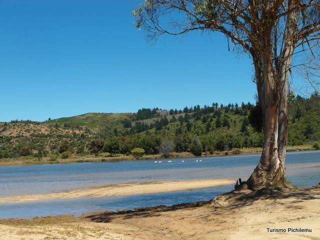 Fotografía 3 de Camping El Bronce en Pichilemu, Ohiggins