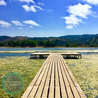 Fotografía 4 de Camping El Bronce en Pichilemu, Ohiggins