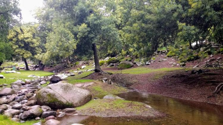 Fotografía 3 de Camping Los Aromos El Radal en Molina, Maule