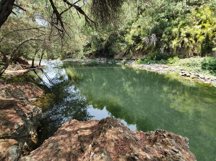 Fotografía 2 de Camping Tio Pepe en San Clemente, Maule