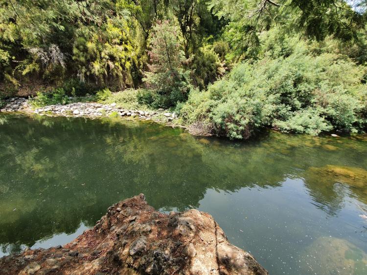 Fotografía 4 de Camping Tio Pepe en San Clemente, Maule