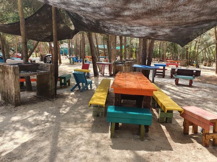 Fotografía 8 de Camping Tio Pepe en San Clemente, Maule