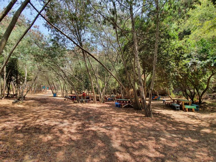Fotografía 11 de Camping Tio Pepe en San Clemente, Maule