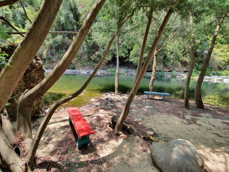 Fotografía 15 de Camping Tio Pepe en San Clemente, Maule