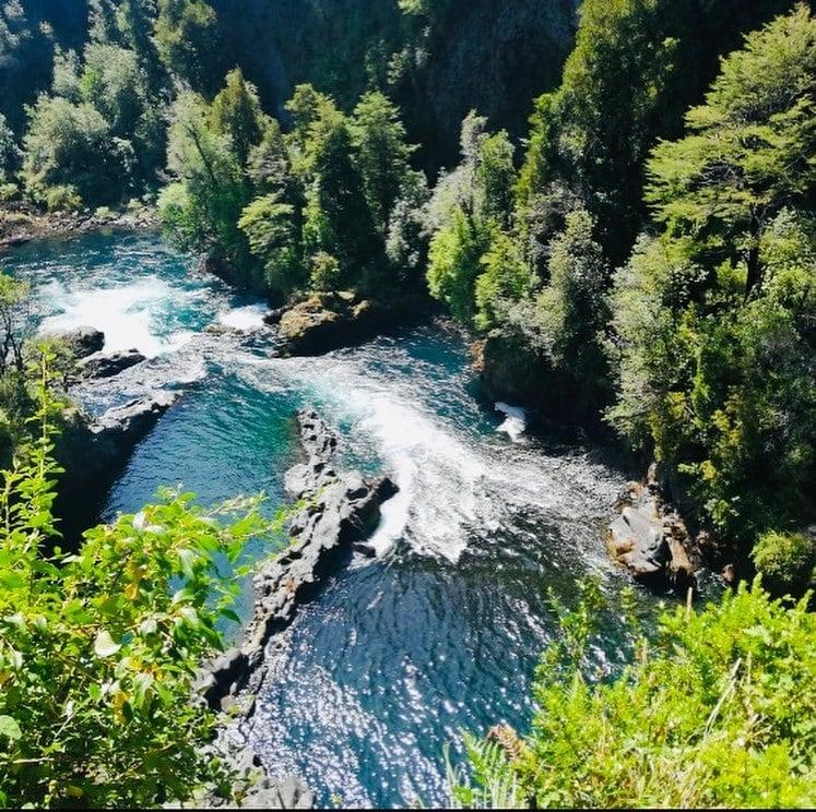 Fotografía 4 de Camping POD Chile En Huilo Huilo en Panguipulli, Los Rios