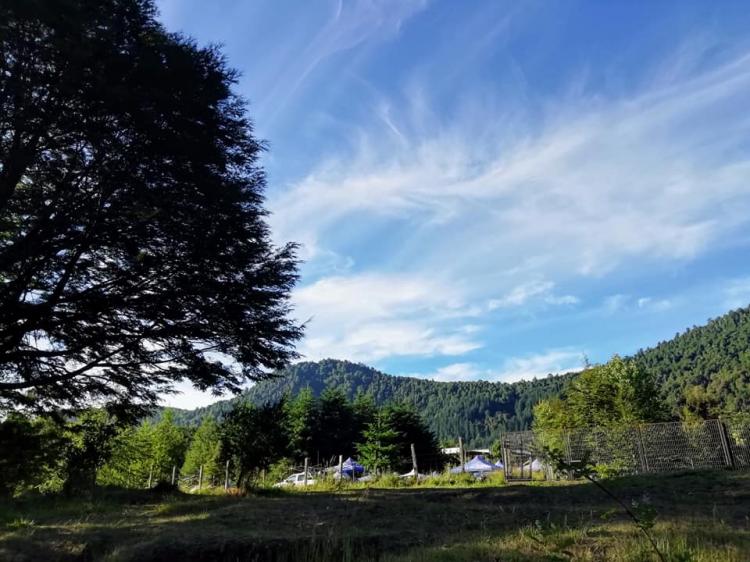 Fotografía 7 de Camping POD Chile En Huilo Huilo en Panguipulli, Los Rios