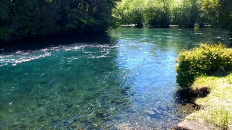 Fotografía 8 de Camping POD Chile En Huilo Huilo en Panguipulli, Los Rios