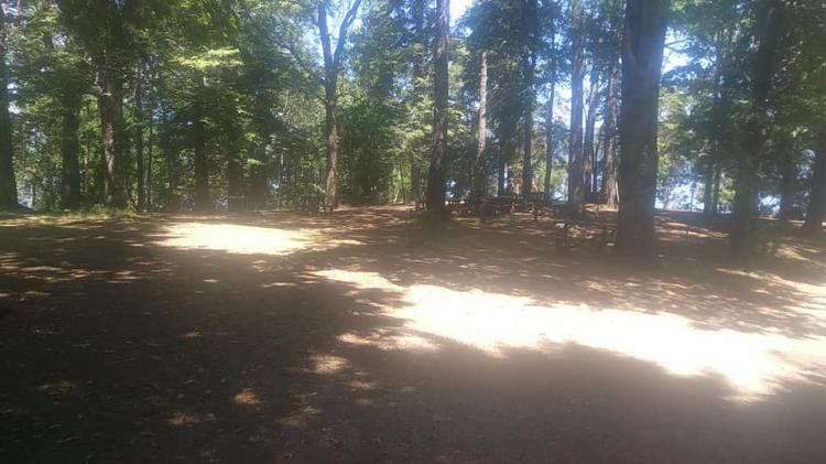 Fotografía 11 de Camping Pitriu Pulliu en Villarrica, Araucania
