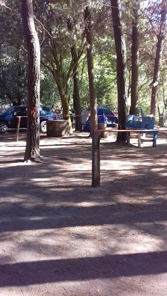 Fotografía 3 de Camping Flor de Carmen en Rio Claro, Maule