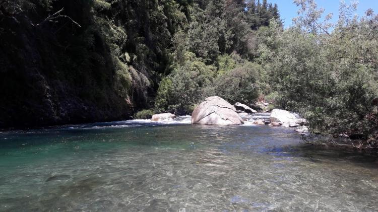 Fotografía 4 de Camping Flor de Carmen en Rio Claro, Maule