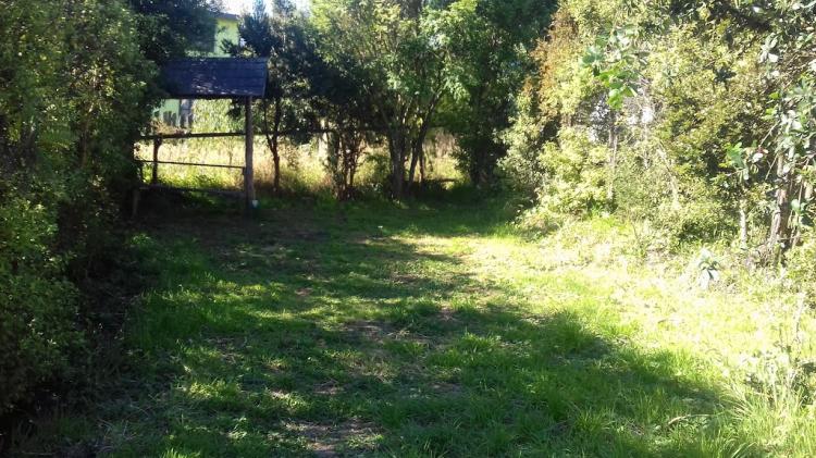 Fotografía 2 de Camping Paraíso en Ancud, Los Lagos