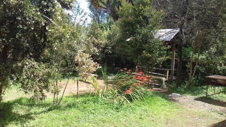 Fotografía 4 de Camping Paraíso en Ancud, Los Lagos