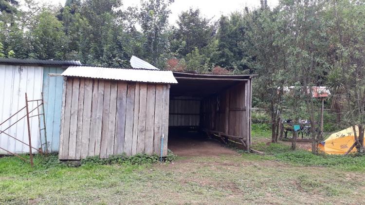 Fotografía 7 de Camping Paraíso en Ancud, Los Lagos