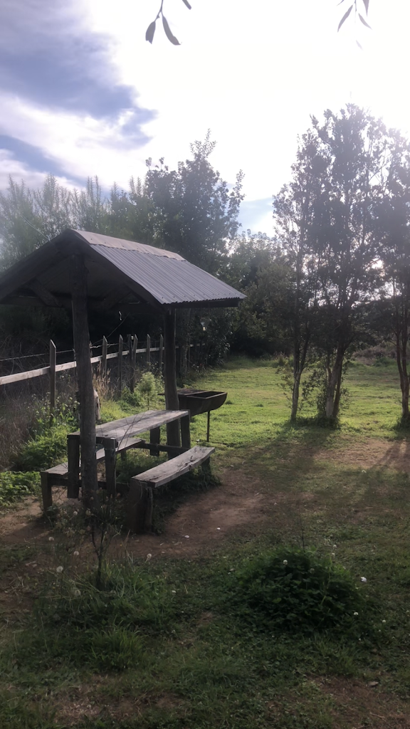 Fotografía 10 de Camping Paraíso en Ancud, Los Lagos