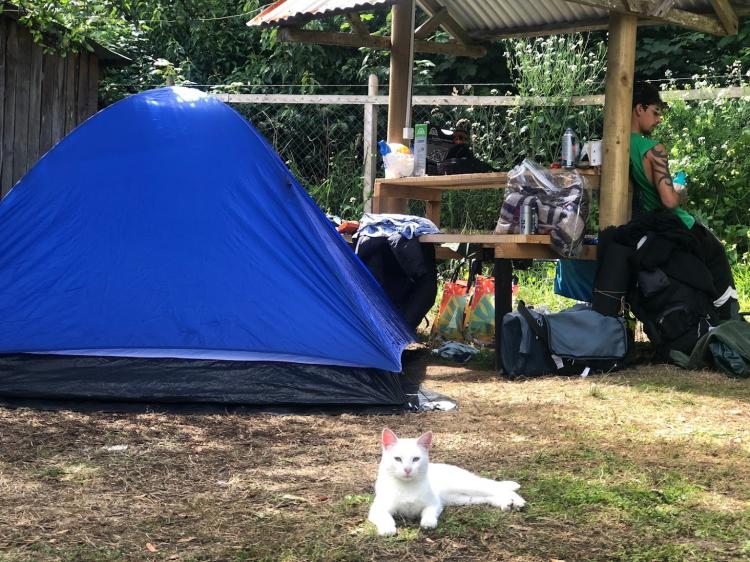 Fotografía 12 de Camping Paraíso en Ancud, Los Lagos