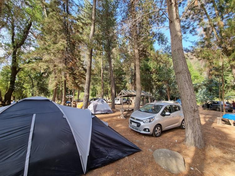 Fotografía 10 de Camping Mora Siete tazas en Molina, Maule