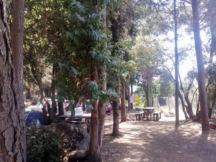 Fotografía 13 de Camping Mora Siete tazas en Molina, Maule