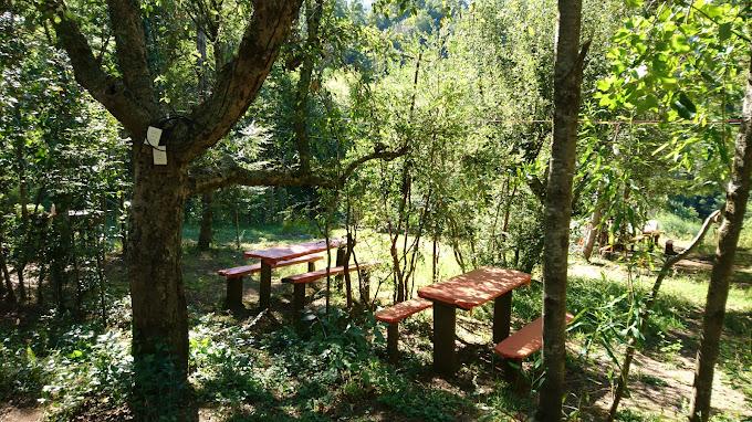 Fotografía 4 de Agro Camping Don Antonio en Pucon, Araucania