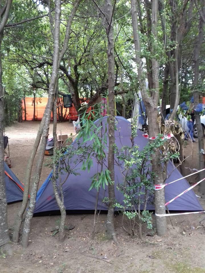 Fotografía 12 de Agro Camping Don Antonio en Pucon, Araucania