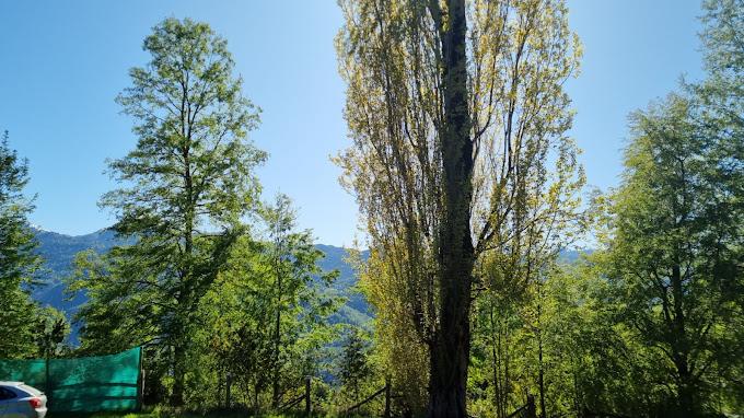 Fotografía 12 de Agrocamping Chillacura en Panguipulli, Los Rios
