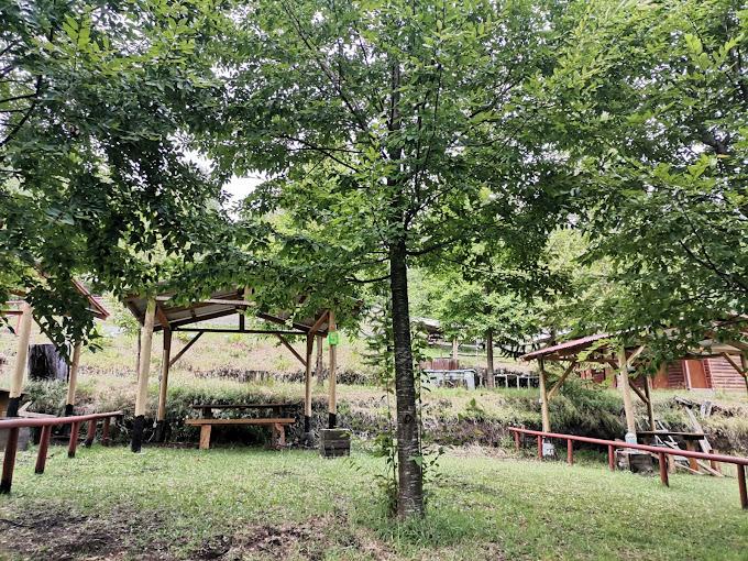 Fotografía 7 de Agrocamping Chillacura en Panguipulli, Los Rios