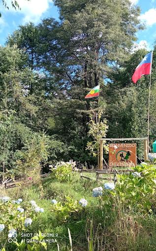 Fotografía 8 de Agrocamping Chillacura en Panguipulli, Los Rios