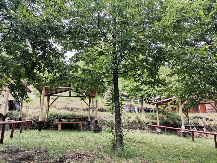 Fotografía 18 de Agrocamping Chillacura en Panguipulli, Los Rios