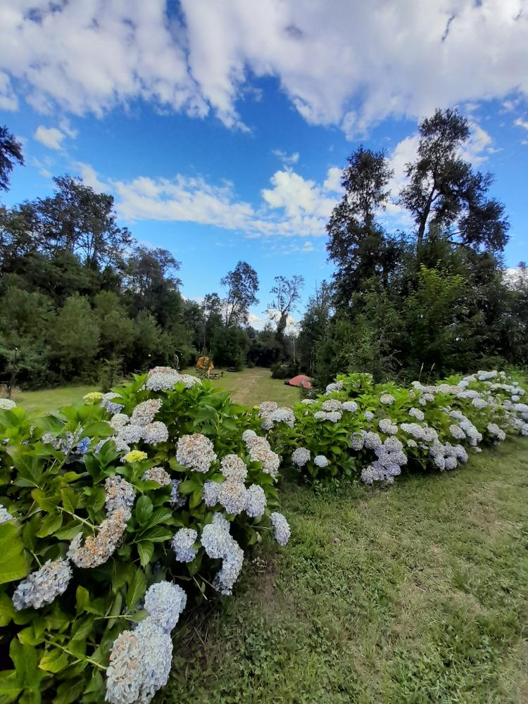Fotografía 12 de Alto Trapel Camping y Cabañas en Panguipulli, Los Rios