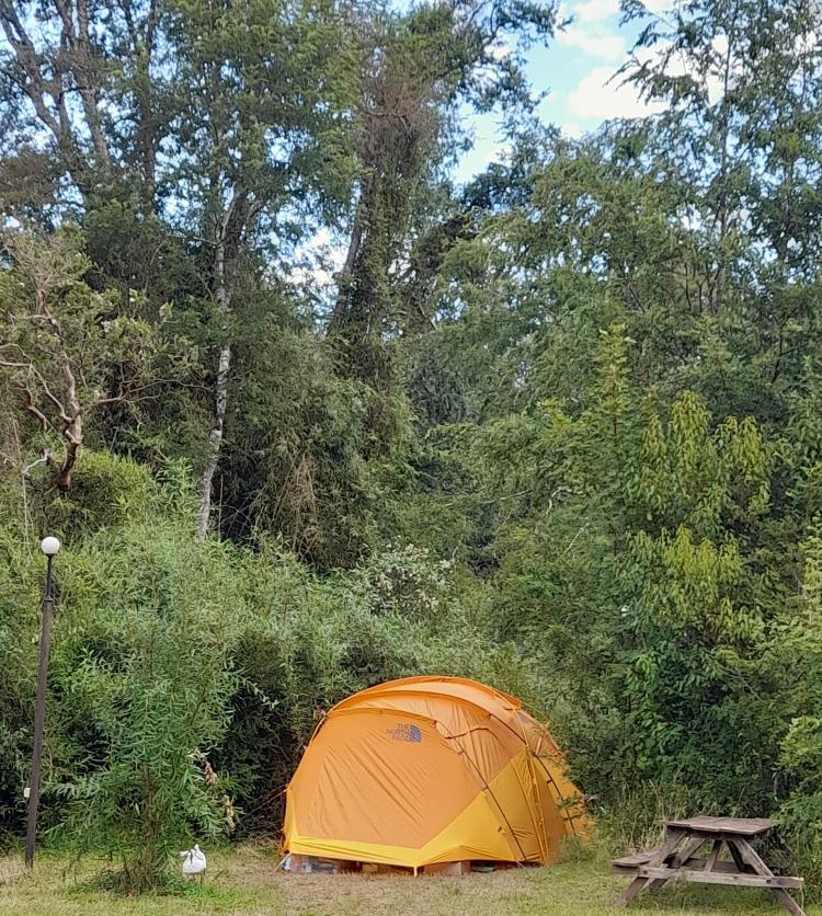 Fotografía 15 de Alto Trapel Camping y Cabañas en Panguipulli, Los Rios