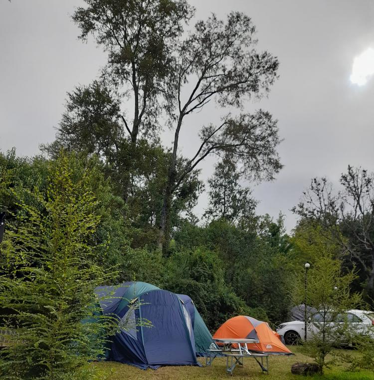 Fotografía 19 de Alto Trapel Camping y Cabañas en Panguipulli, Los Rios