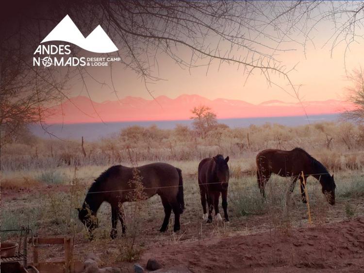 Fotografía 2 de Andes Nomads Desert Camp & Lodge en San Pedro De Atacama, Antofagasta