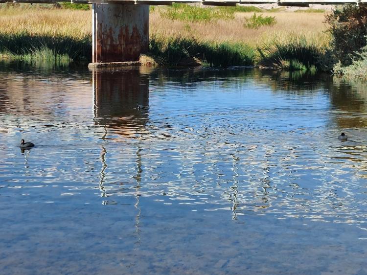 Fotografía 12 de Balneario Coya Sur en Maria Elena, Antofagasta