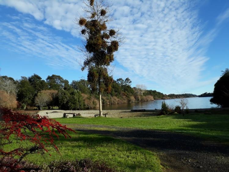 Fotografía 19 de Camping Los Copihues en Puyehue, Los Lagos