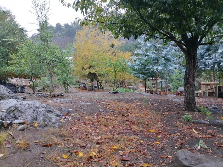 Fotografía 8 de Camping Radal - El Rincon de Nachito en Molina, Maule
