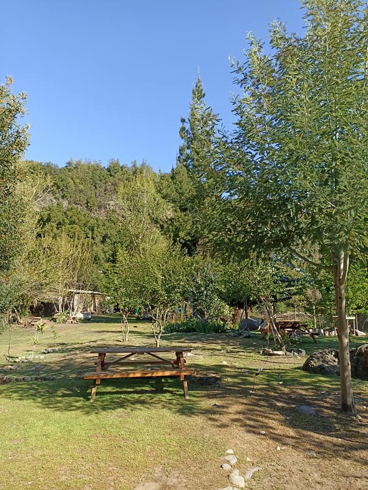 Fotografía 15 de Camping Radal - El Rincon de Nachito en Molina, Maule