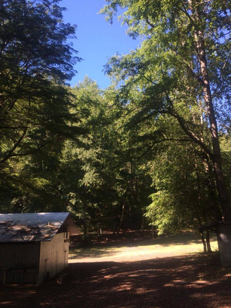 Fotografía 3 de Camping El Buen Amigo en Pucon, Araucania