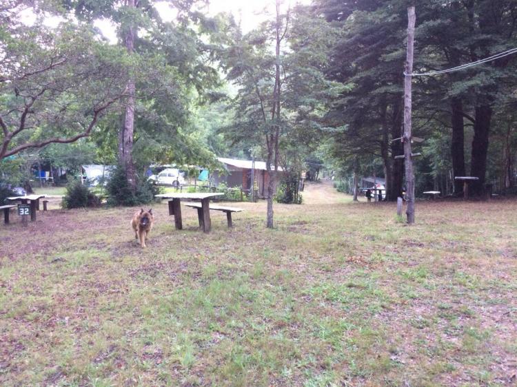 Fotografía 11 de Camping El Buen Amigo en Pucon, Araucania
