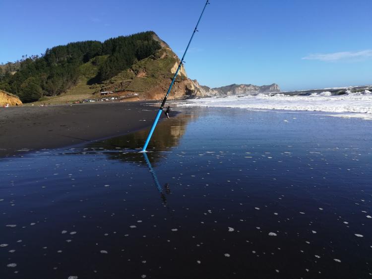 Fotografía 6 de Camping Borde Costa en Carahue, Araucania