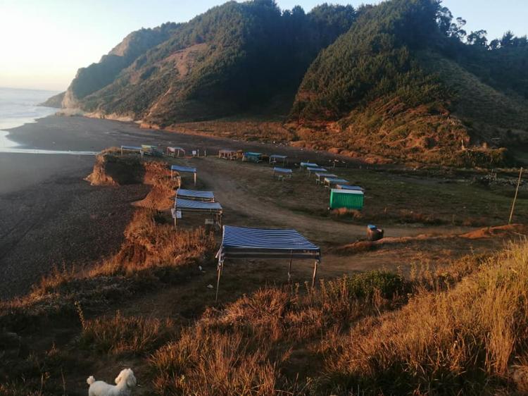 Fotografía 13 de Camping Borde Costa en Carahue, Araucania