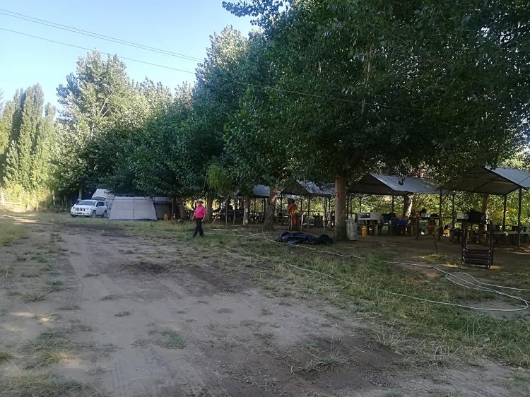 Fotografía 3 de Camping El Paraíso en Nacimiento, Bio Bio