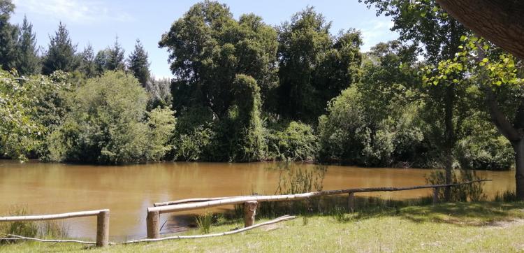 Fotografía 6 de Camping El Paraíso en Nacimiento, Bio Bio