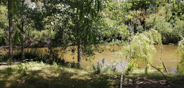 Fotografía 18 de Camping El Paraíso en Nacimiento, Bio Bio
