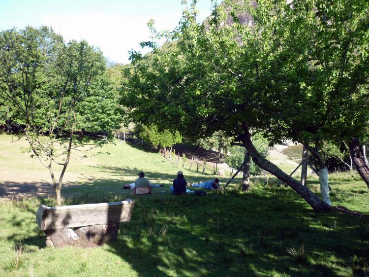 Fotografía 4 de Camping El Paraíso de Las Cavernas en Lago Ranco, Los Rios