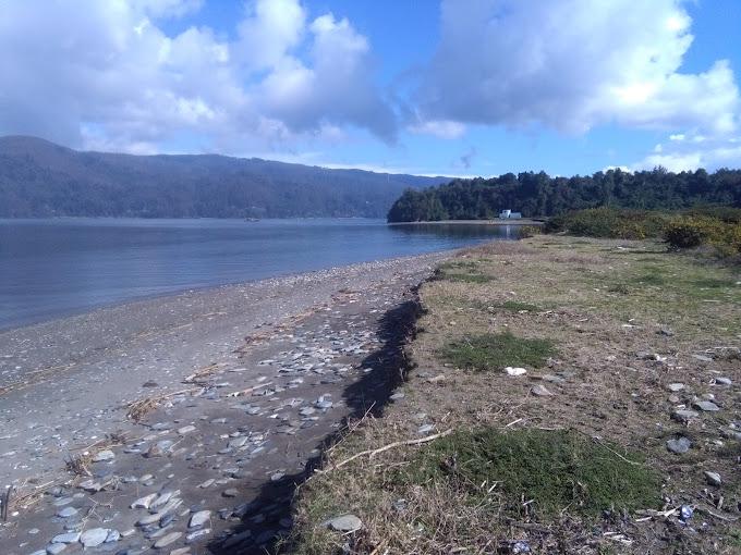 Fotografía 6 de Camping Antares en Valdivia, Los Rios