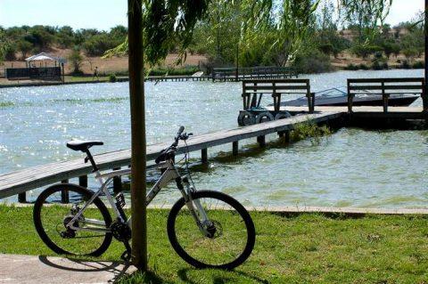 Fotografía 20 de Camping la Bahía de Juan en Las Cabras, Ohiggins