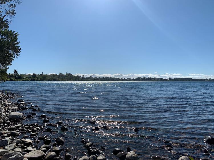 Fotografía 13 de Camping Bellavista Puyehue en Puyehue, Los Lagos