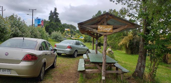Fotografía 5 de Camping Bellavista Puyehue en Puyehue, Los Lagos