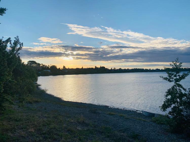 Fotografía 18 de Camping Bellavista Puyehue en Puyehue, Los Lagos